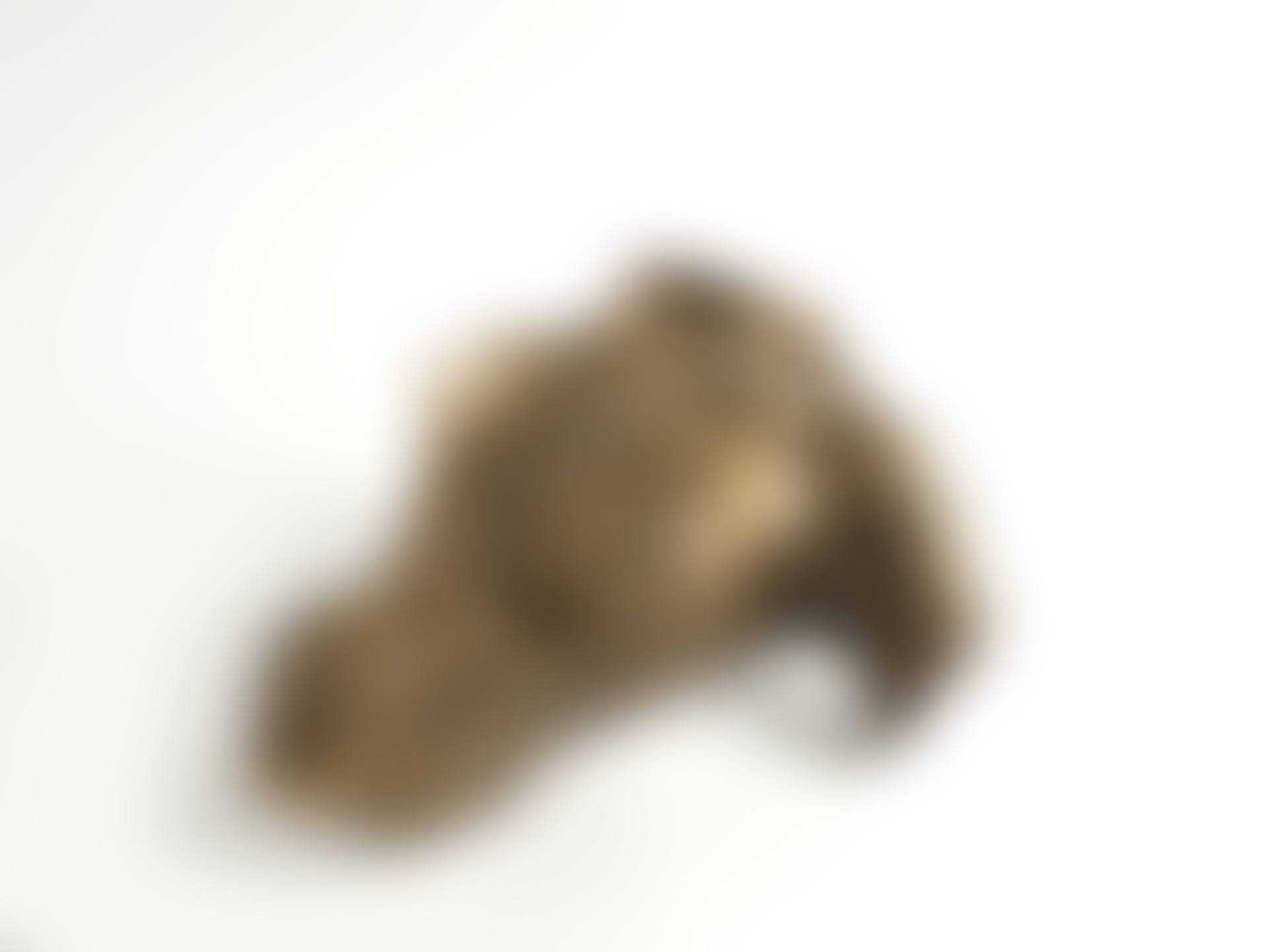 MAGNETIC EVIDENCE, (preview)