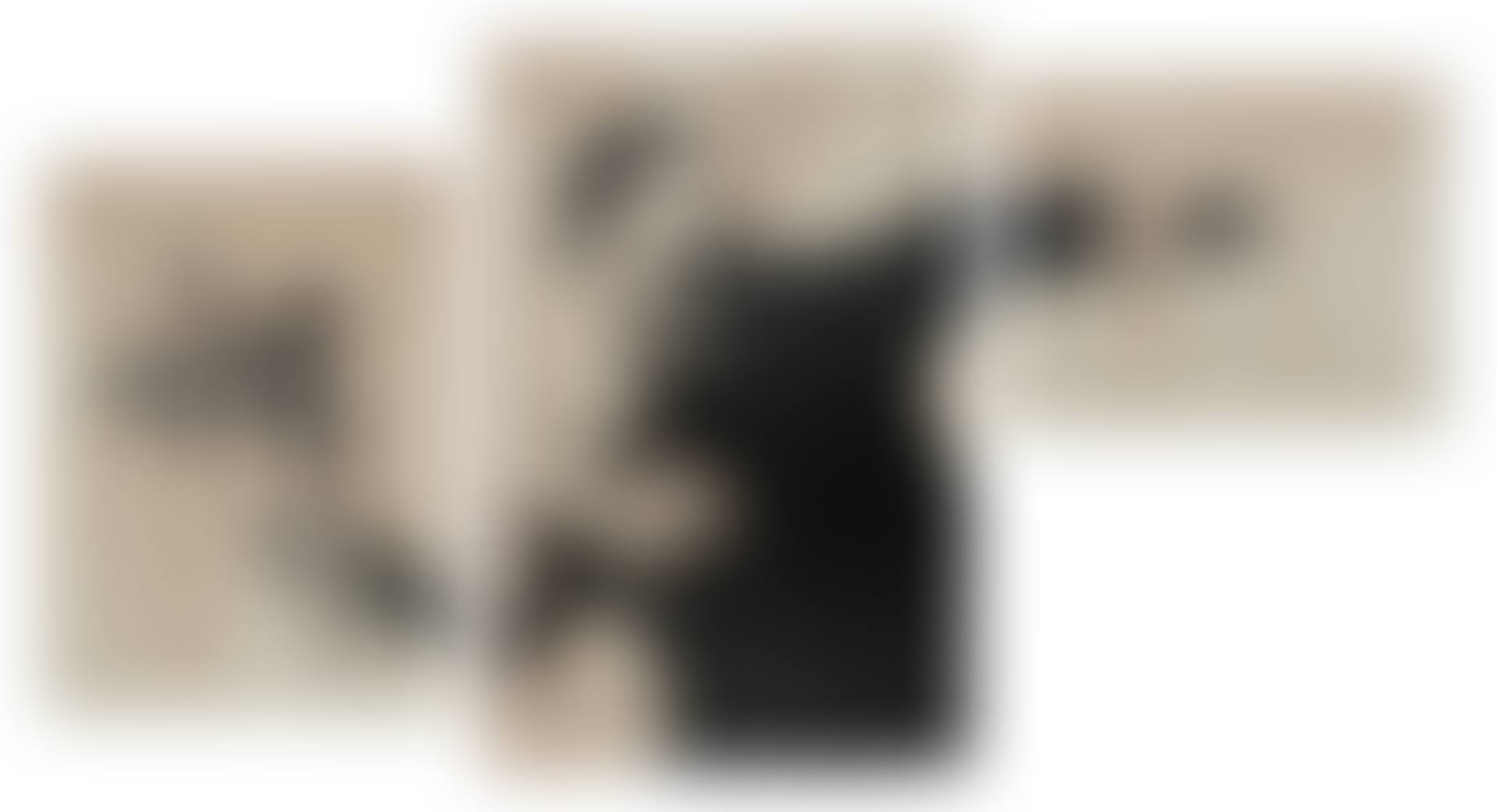Flower Thrower Triptych (Grey) (preview)