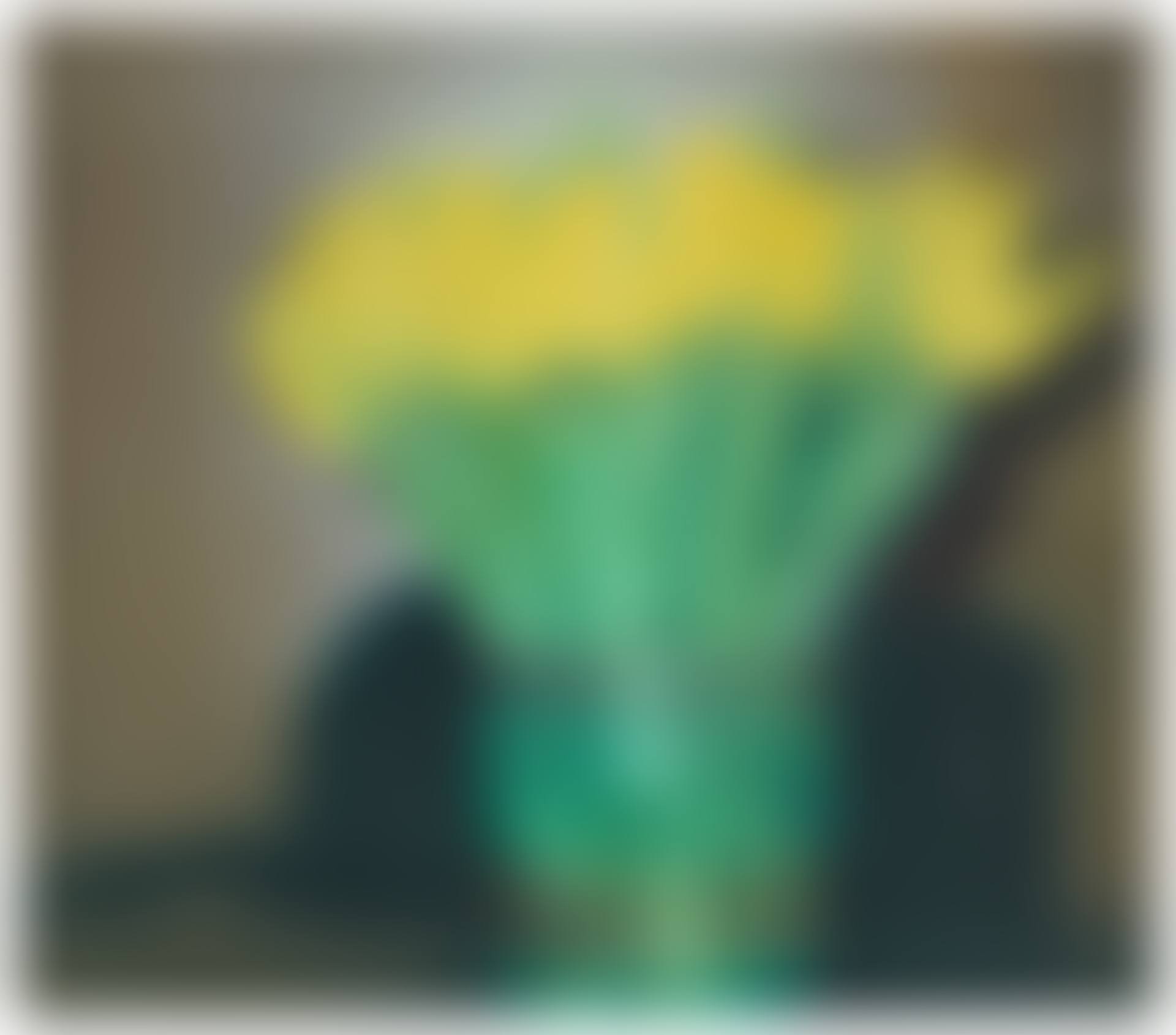 Tulips (P17) (preview)