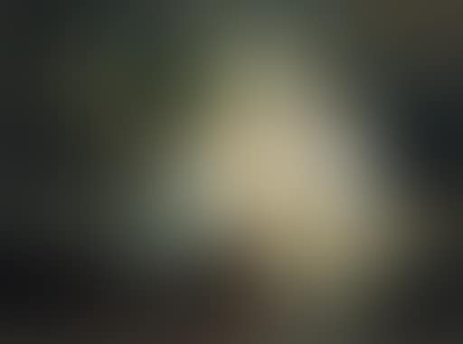 La table devant le batiment (preview)