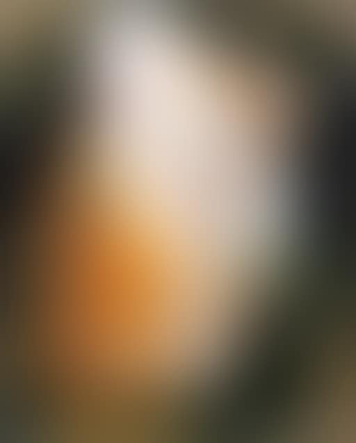 Profil (preview)