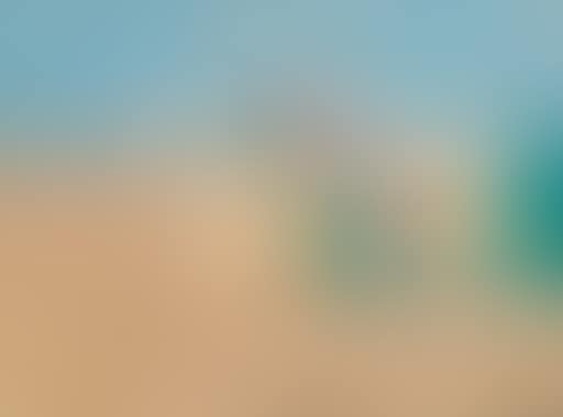 Fleurs-coquillages (preview)