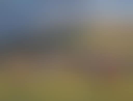 Jockeys get mounted, Cheltenham (preview)