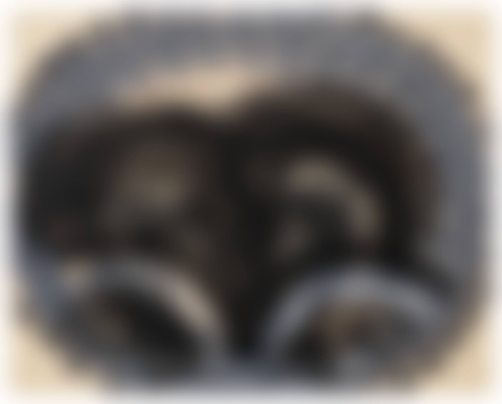 Black Palm (preview)