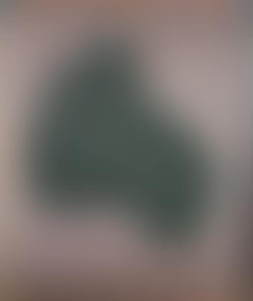 Nierenform (preview)