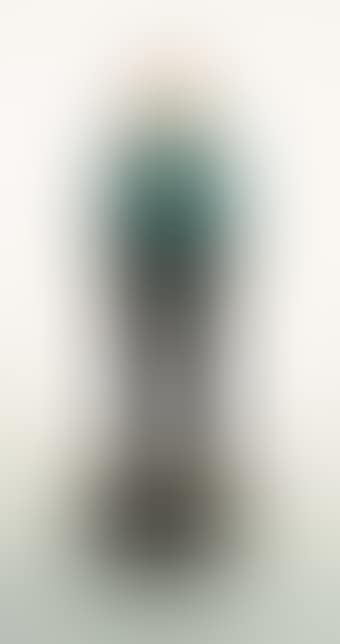 Man with green shirt (preview)