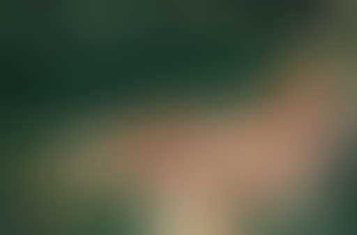 Dolores (preview)