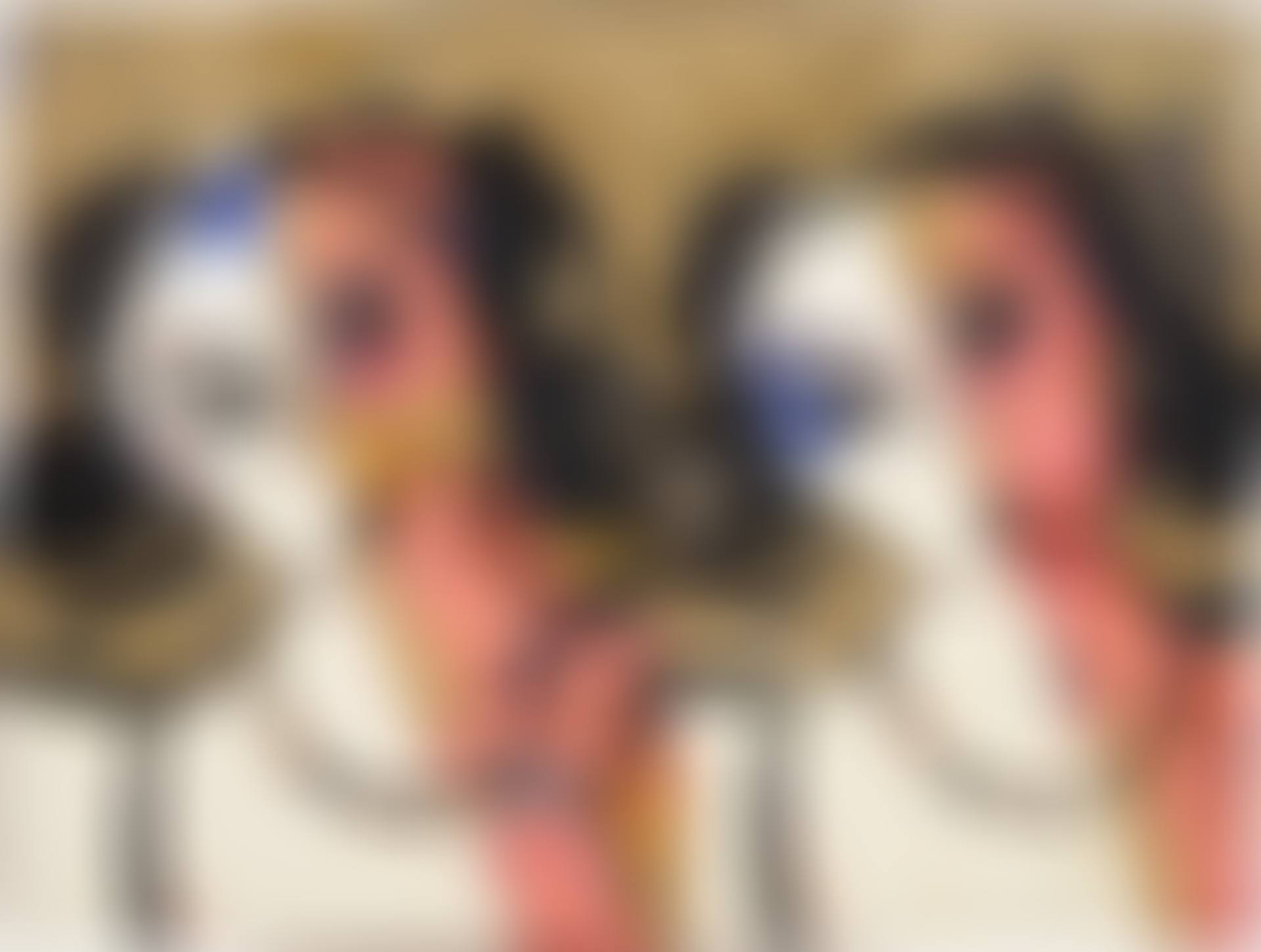 La doble imagen (Odalisca) (preview)