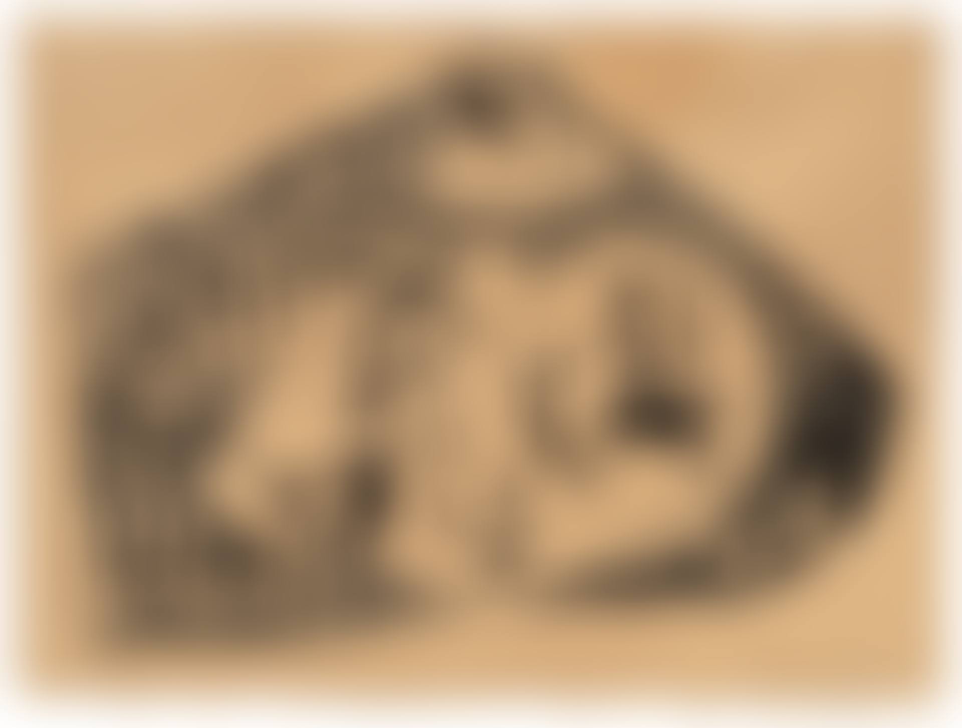 Le Cirque (preview)
