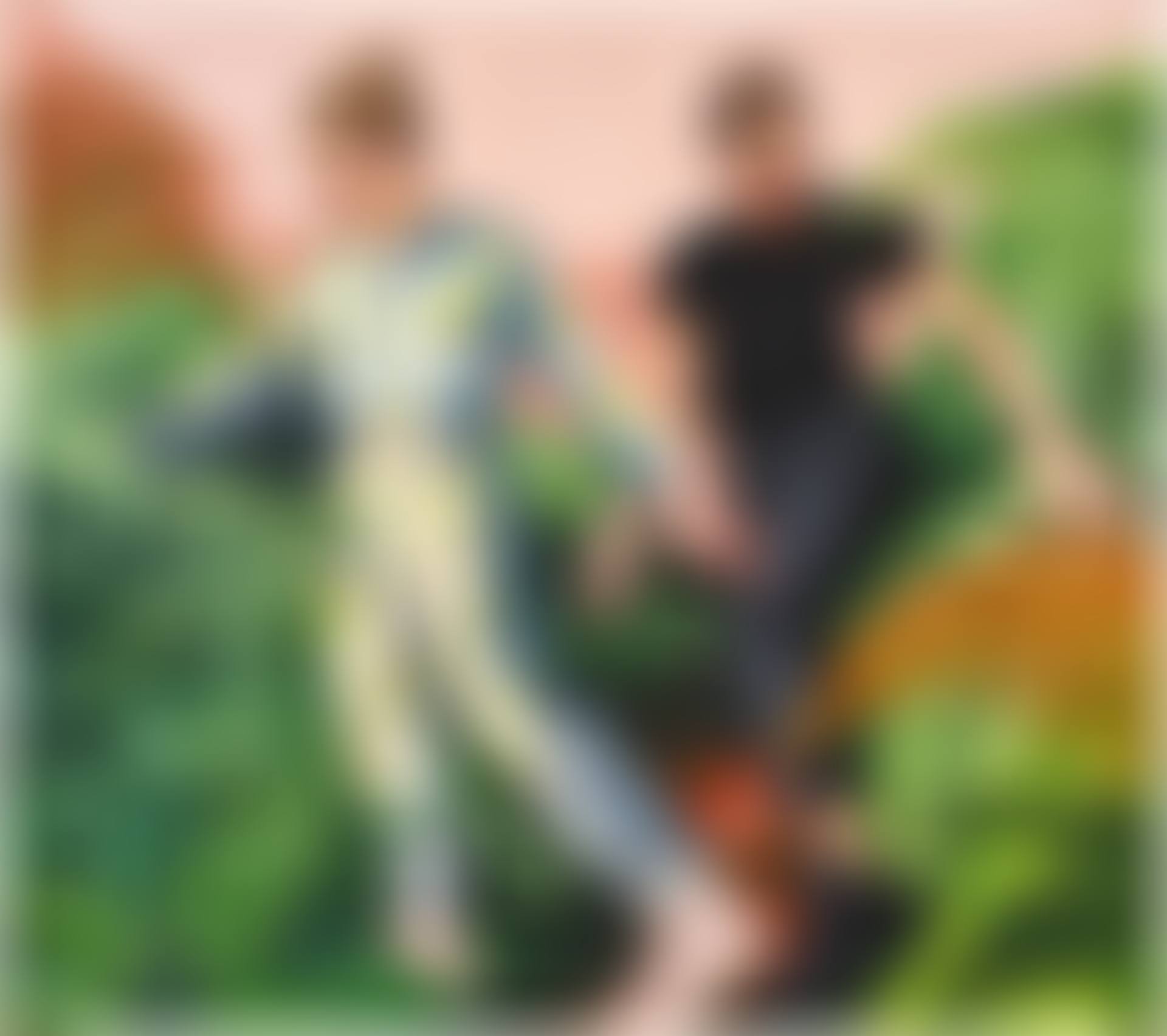 Ferns (preview)