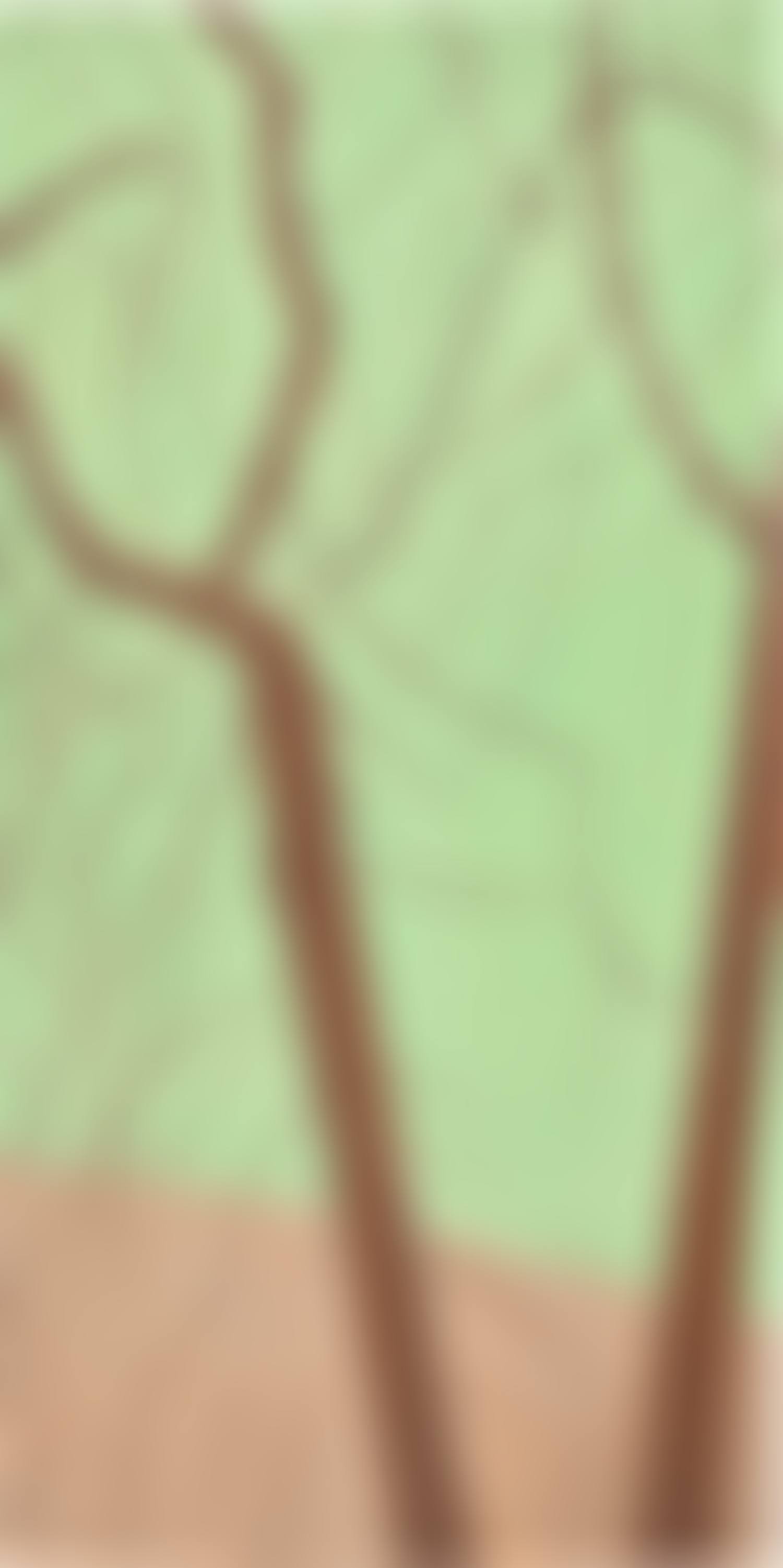 Weeping Cherry 2 (preview)