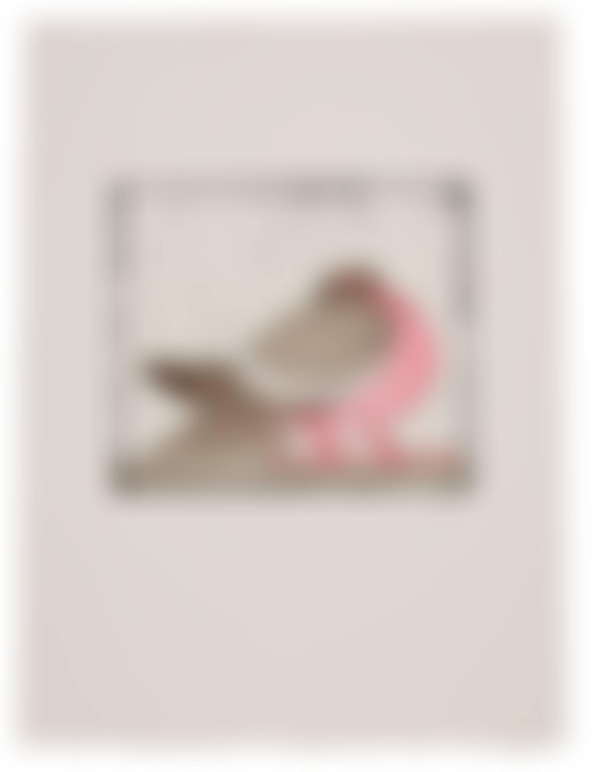 "Le Pigeon"; from the Bestiere nécessaire (preview)
