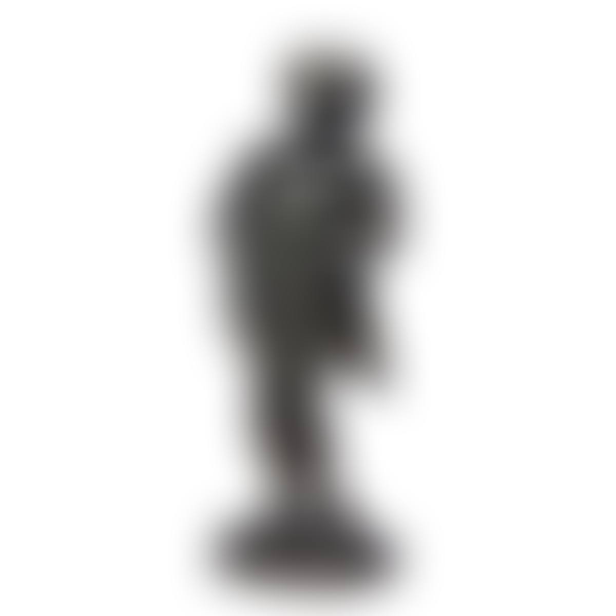 Le Monsieur qui ricane (preview)