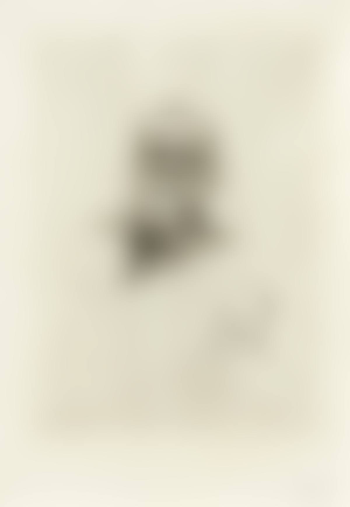 Victor Hugo, de Face (preview)
