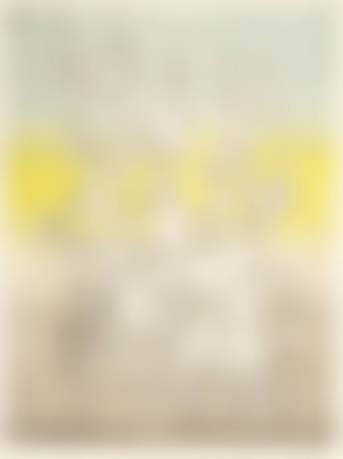 Rhabdomacie (preview)