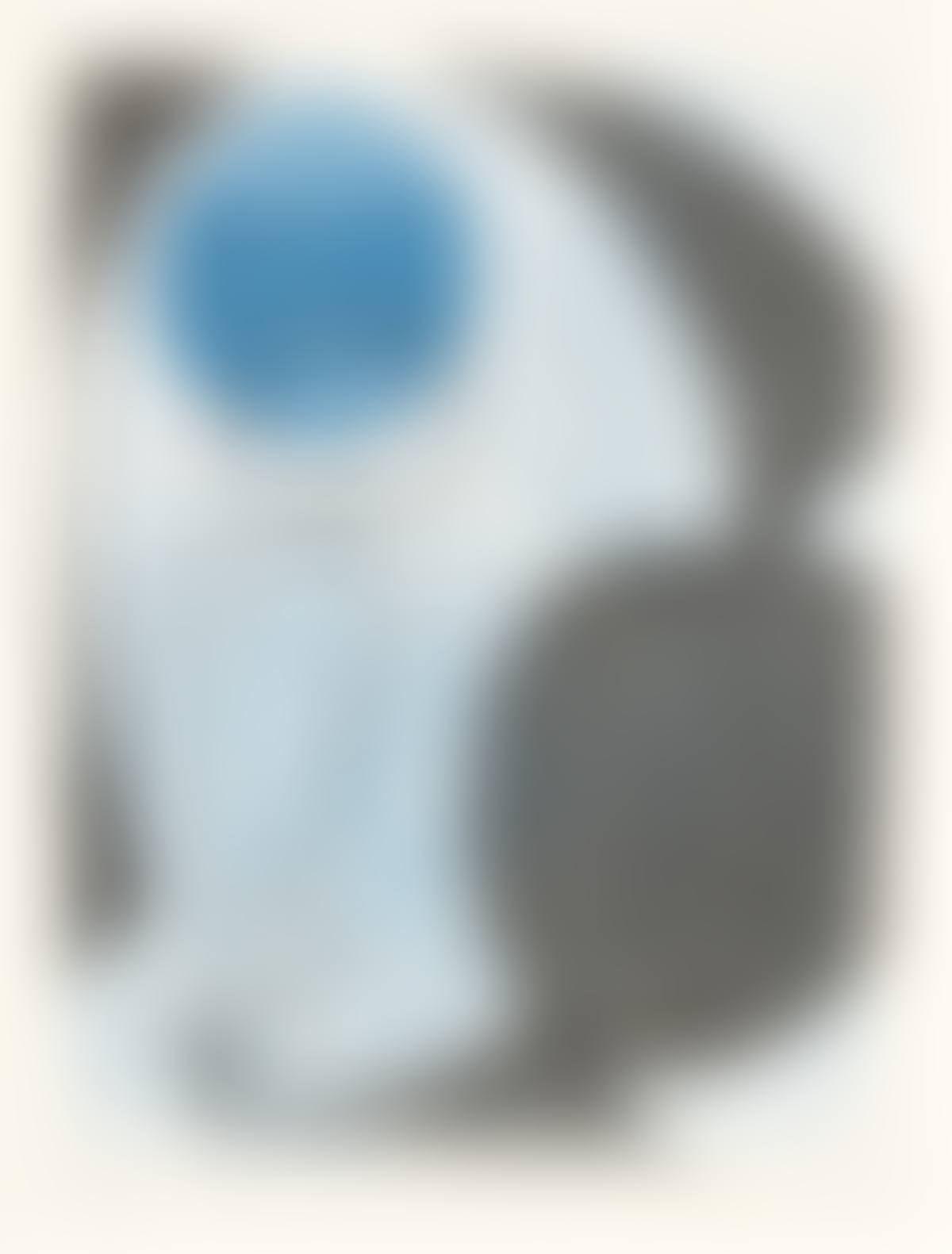 Das Schnabelpaar (preview)