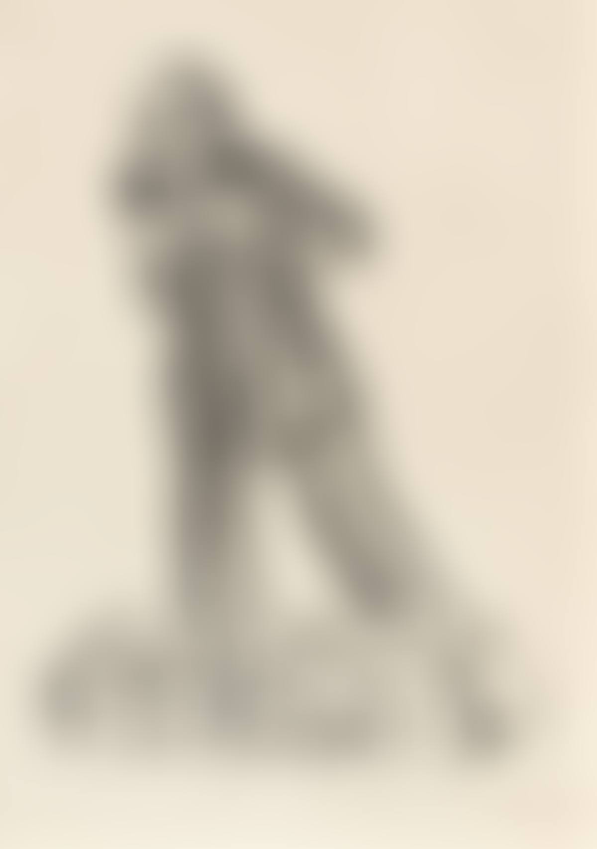 Der Agitationsredner (preview)