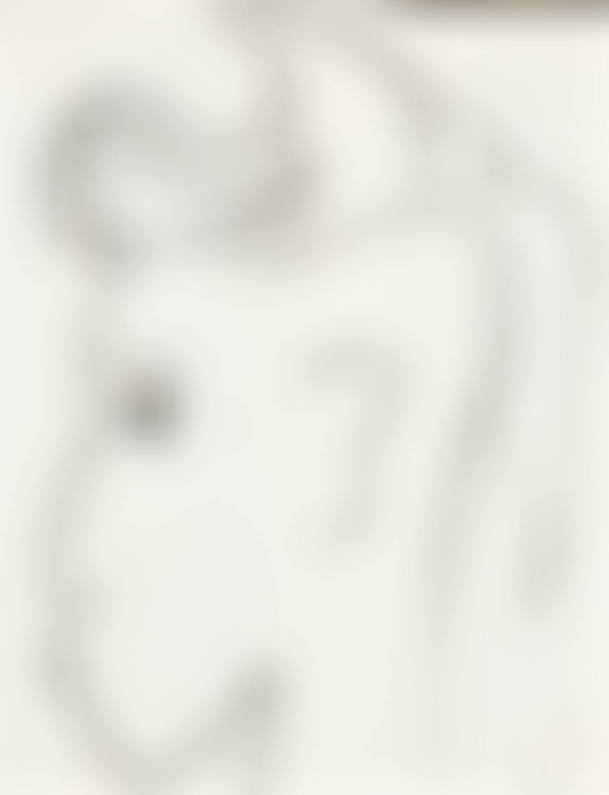 Cabeza de un joven de perfil (preview)
