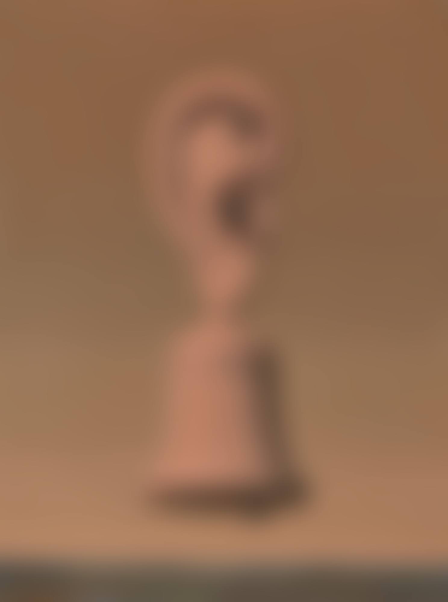 La leçon de musique (preview)