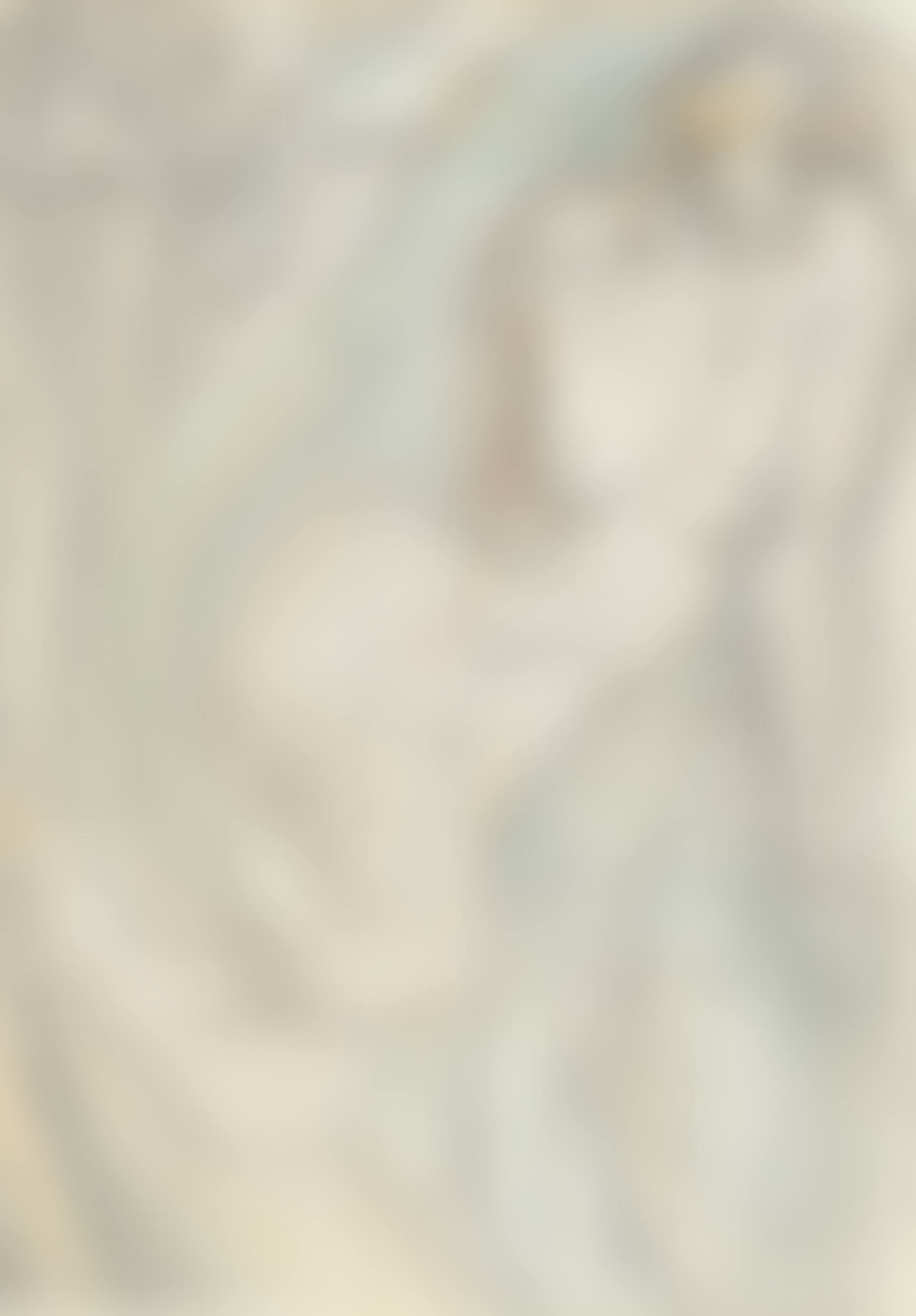 Female Nude and Faces (preview)