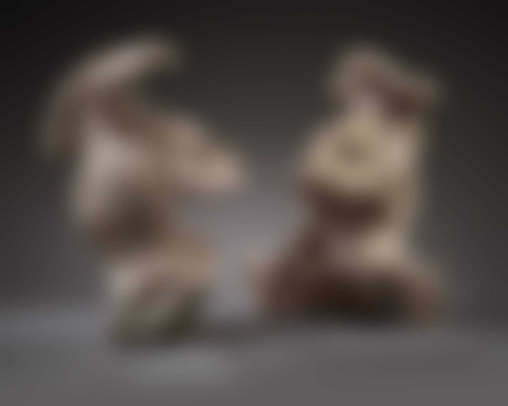 Pair of Helmets (preview)