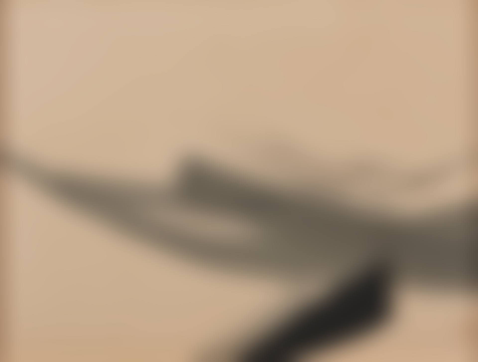 Morning  (preview)