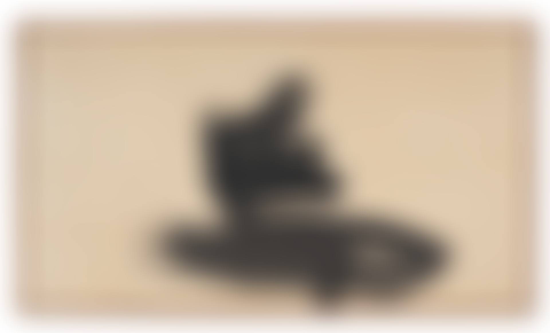 Tori (Bird) (preview)