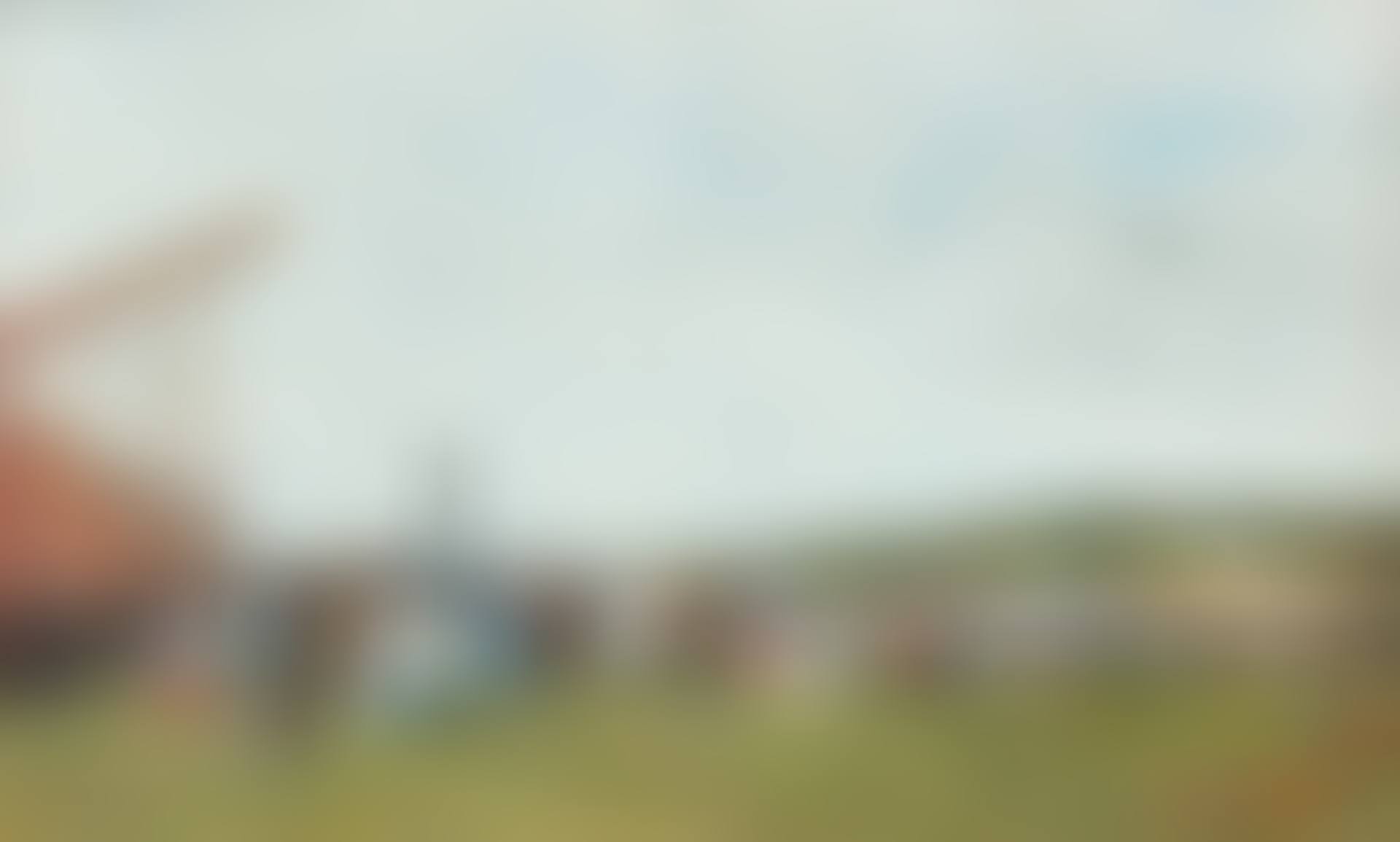 Deauville. Le champ de courses en 1866 (preview)