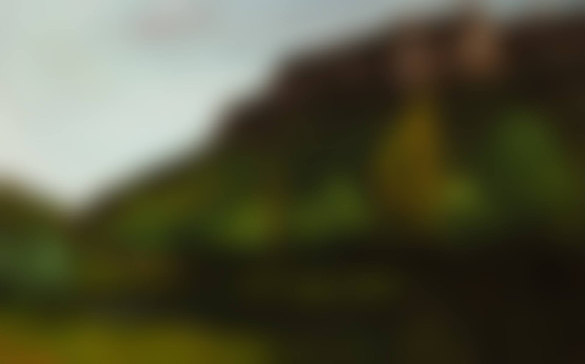 Paysage près d'Ornans (preview)
