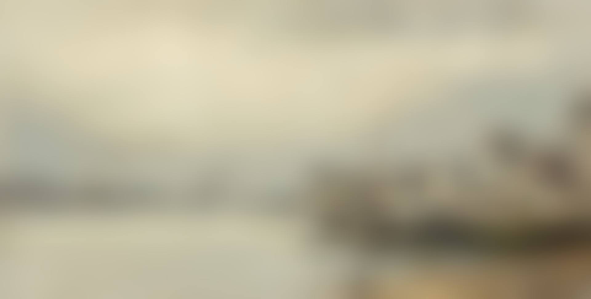 La Seine à Bercy (preview)