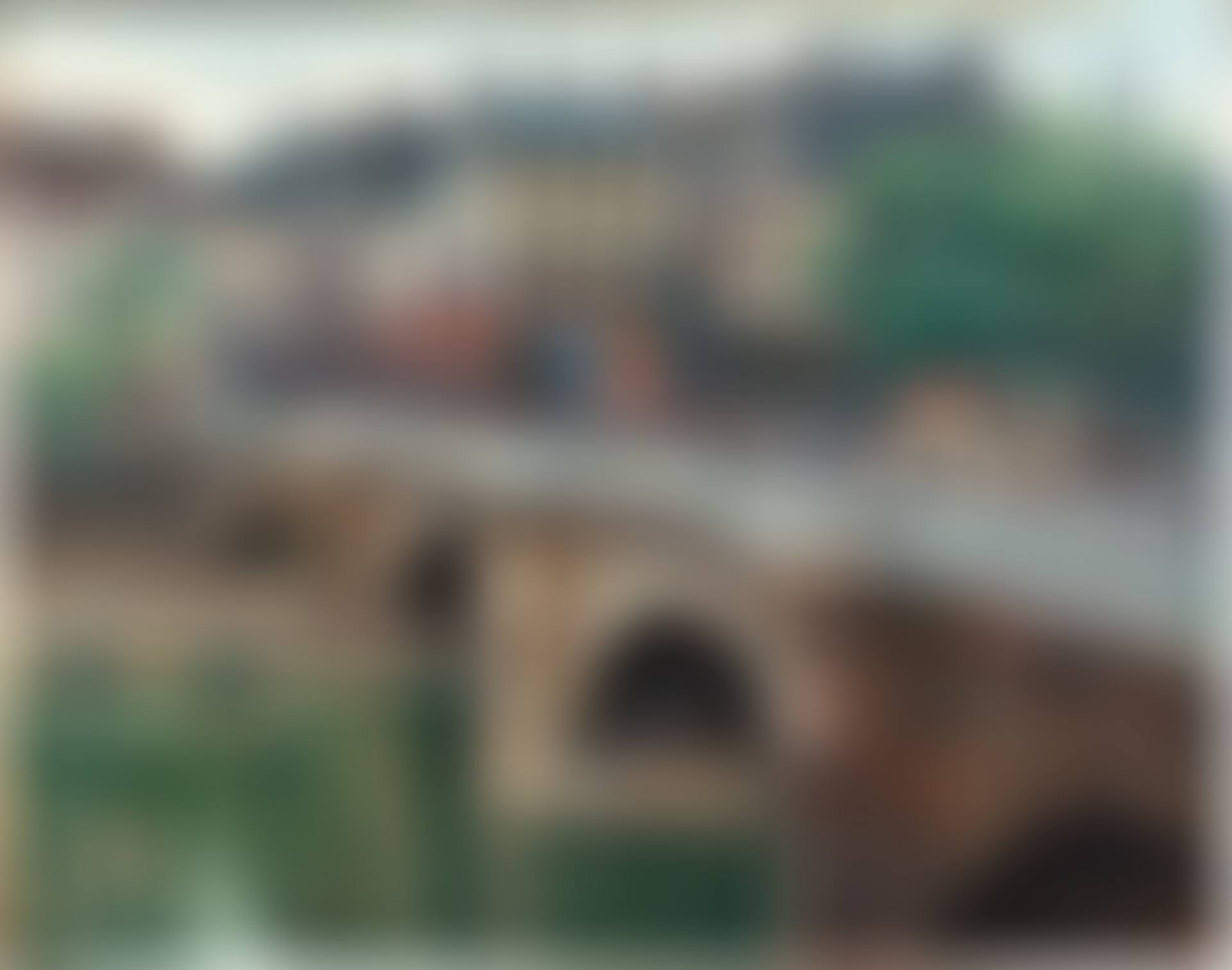 Le Pont-Neuf (preview)