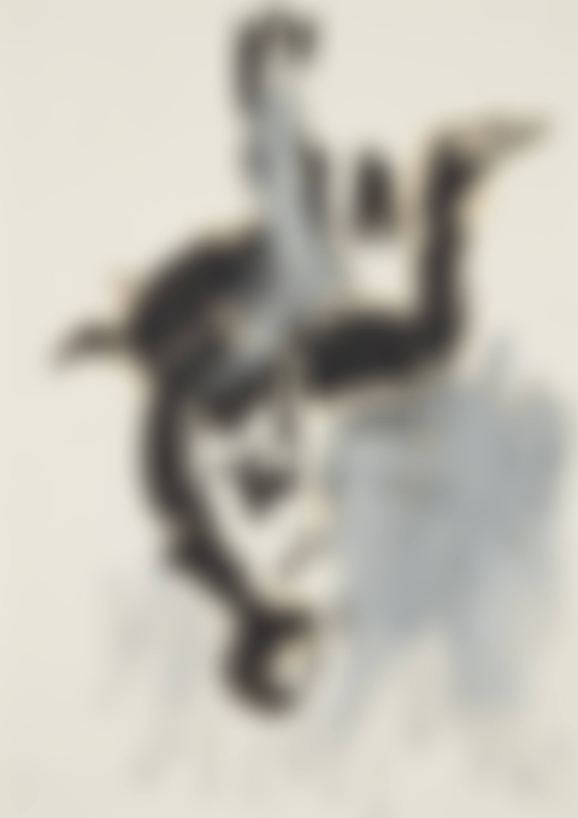 Weiblicher Akt (Female Nude) (preview)