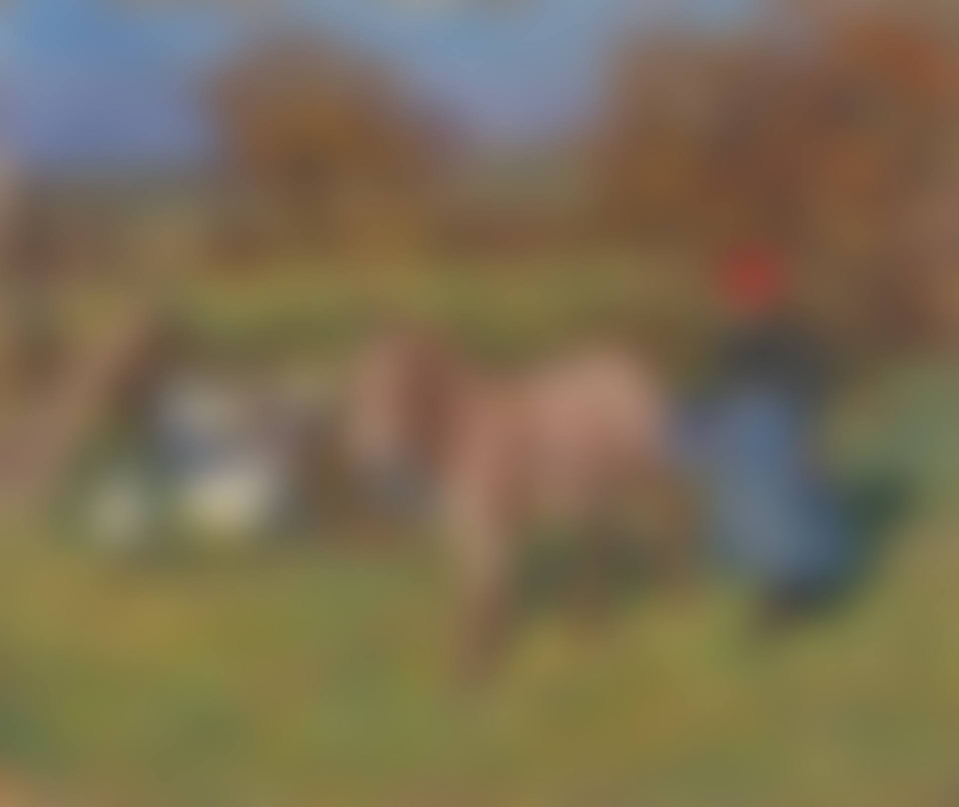 Crostwick Common: Woman with a donkey and geese (preview)