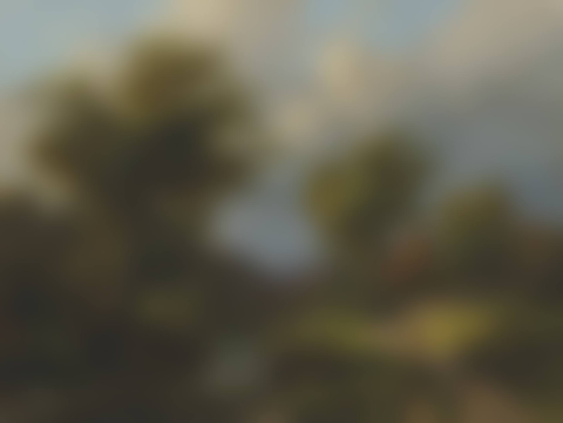 A summer"s day breeze (preview)