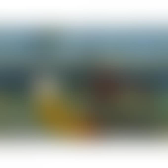 LANDSCAPE (preview)