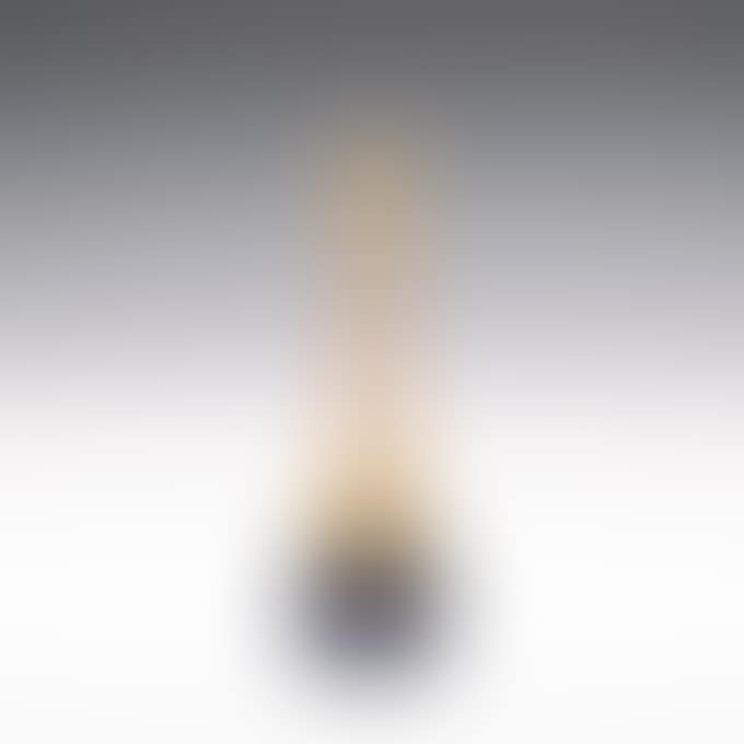 MOTTLED VASE (preview)