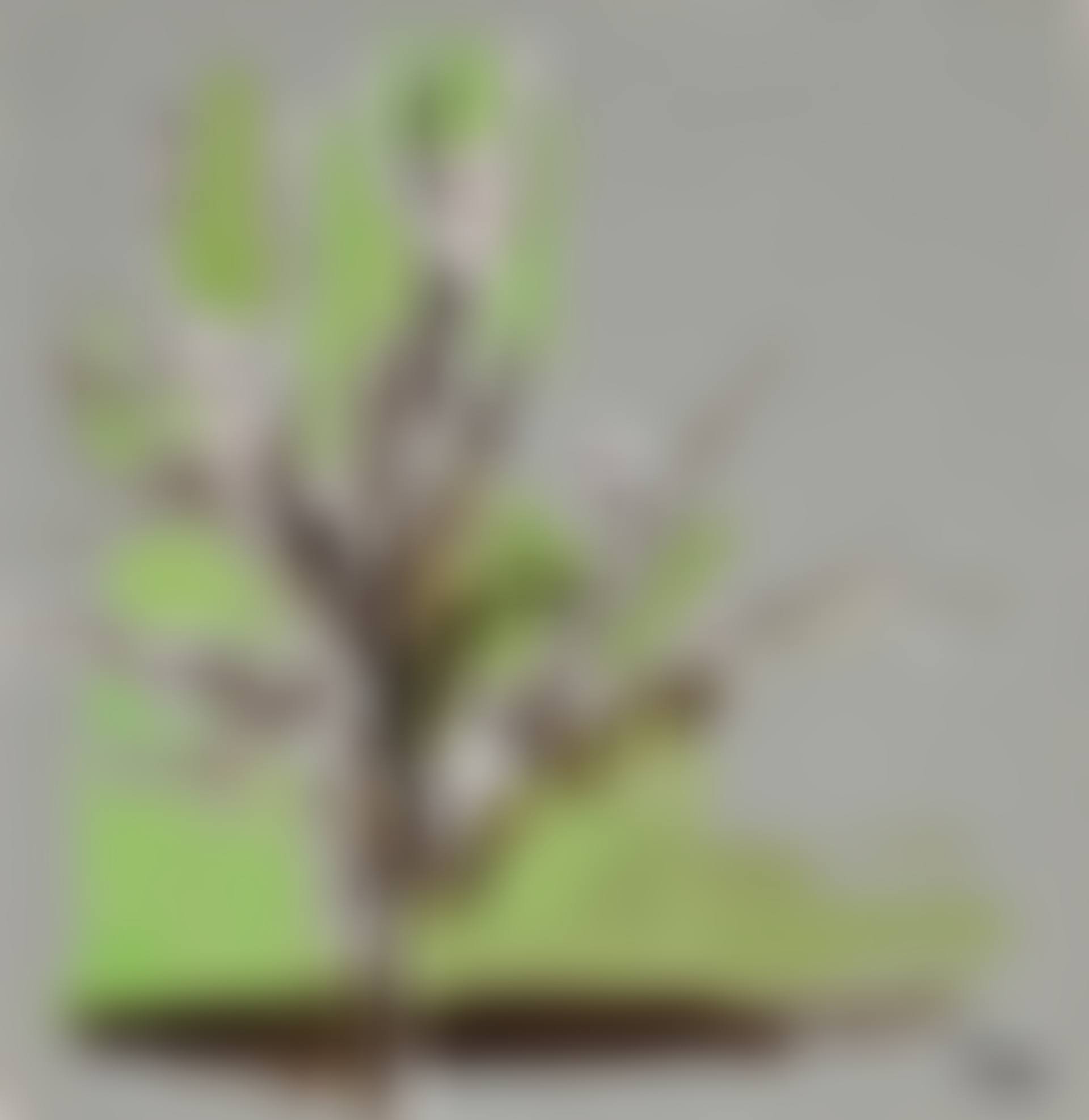 Sans titre (preview)