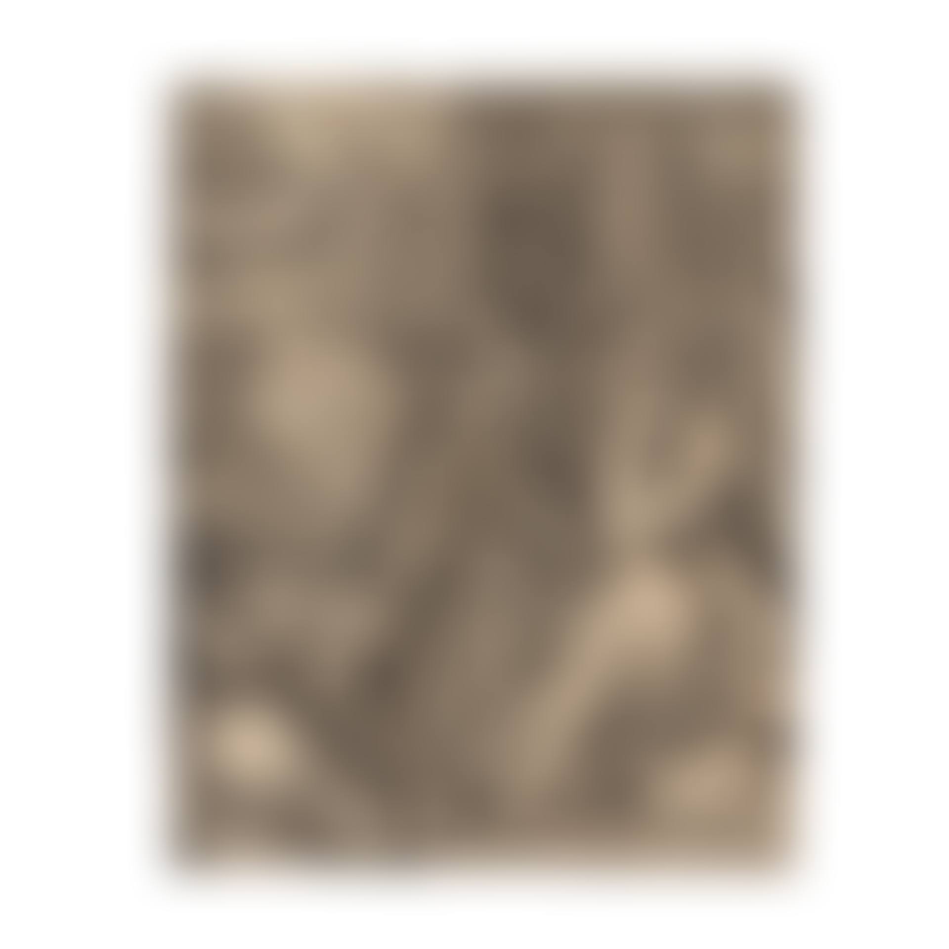 Melencolia I (preview)