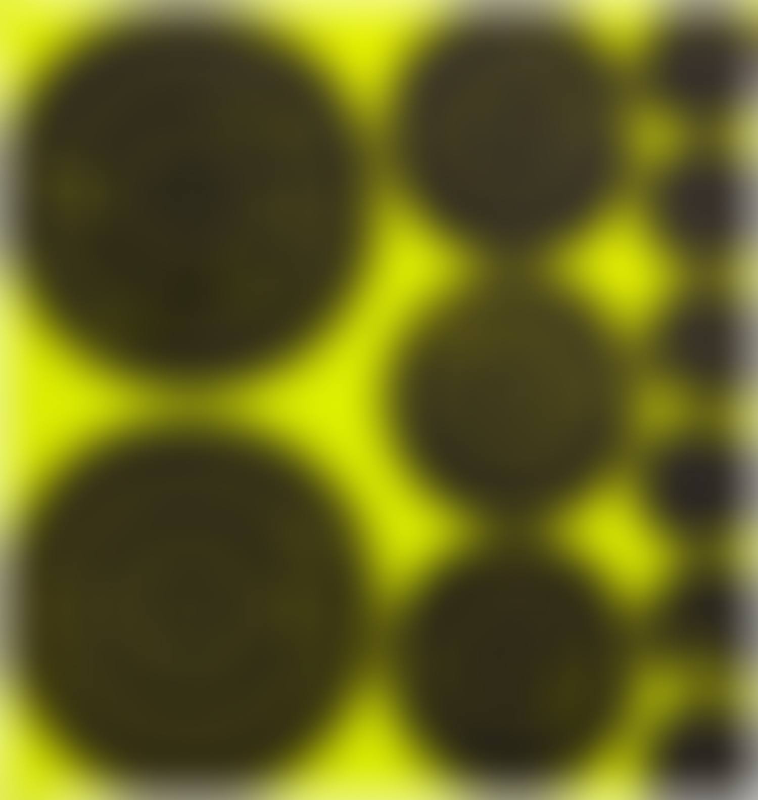 To Be Titled (preview)