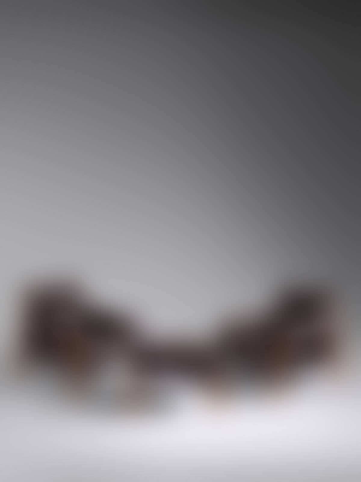 Pair of Lounge Chairs with Ottoman (preview)