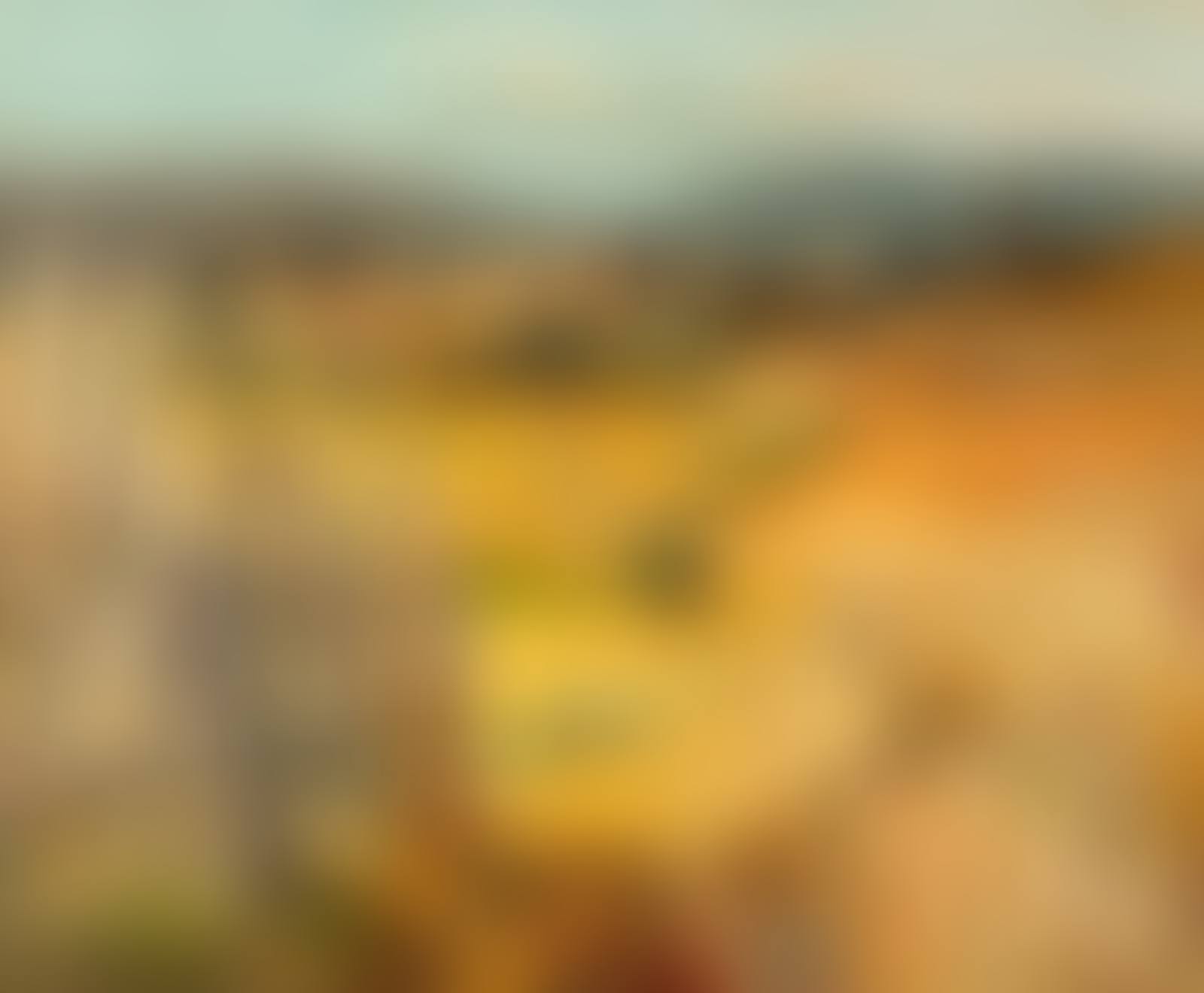 En Provence (preview)