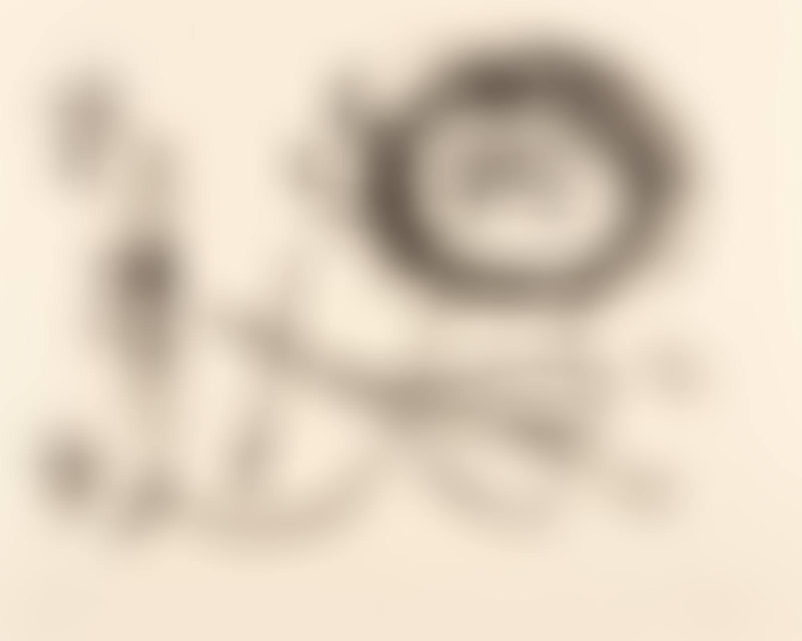Plate I and Plate X from Album 13 (preview)