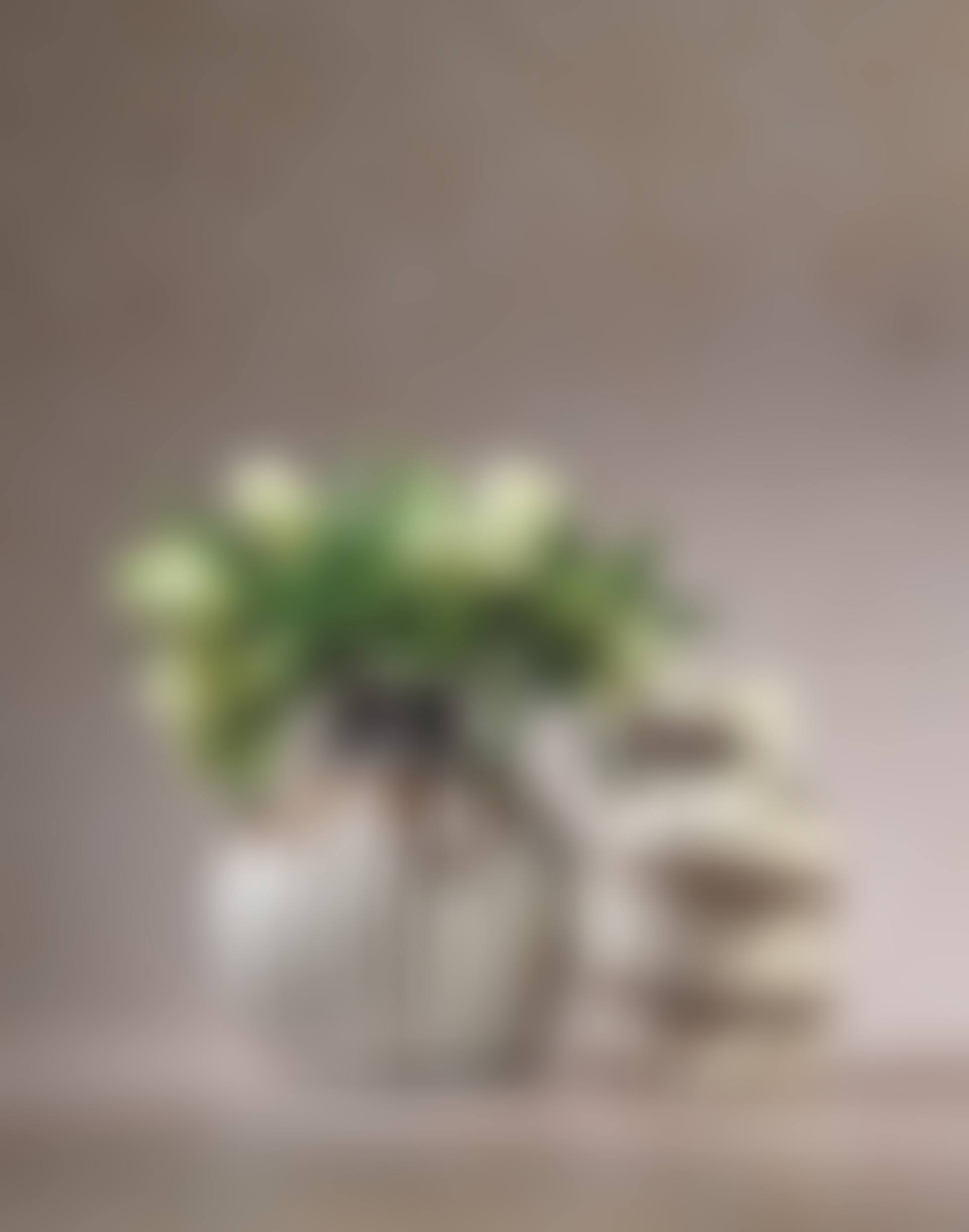 VASE (preview)