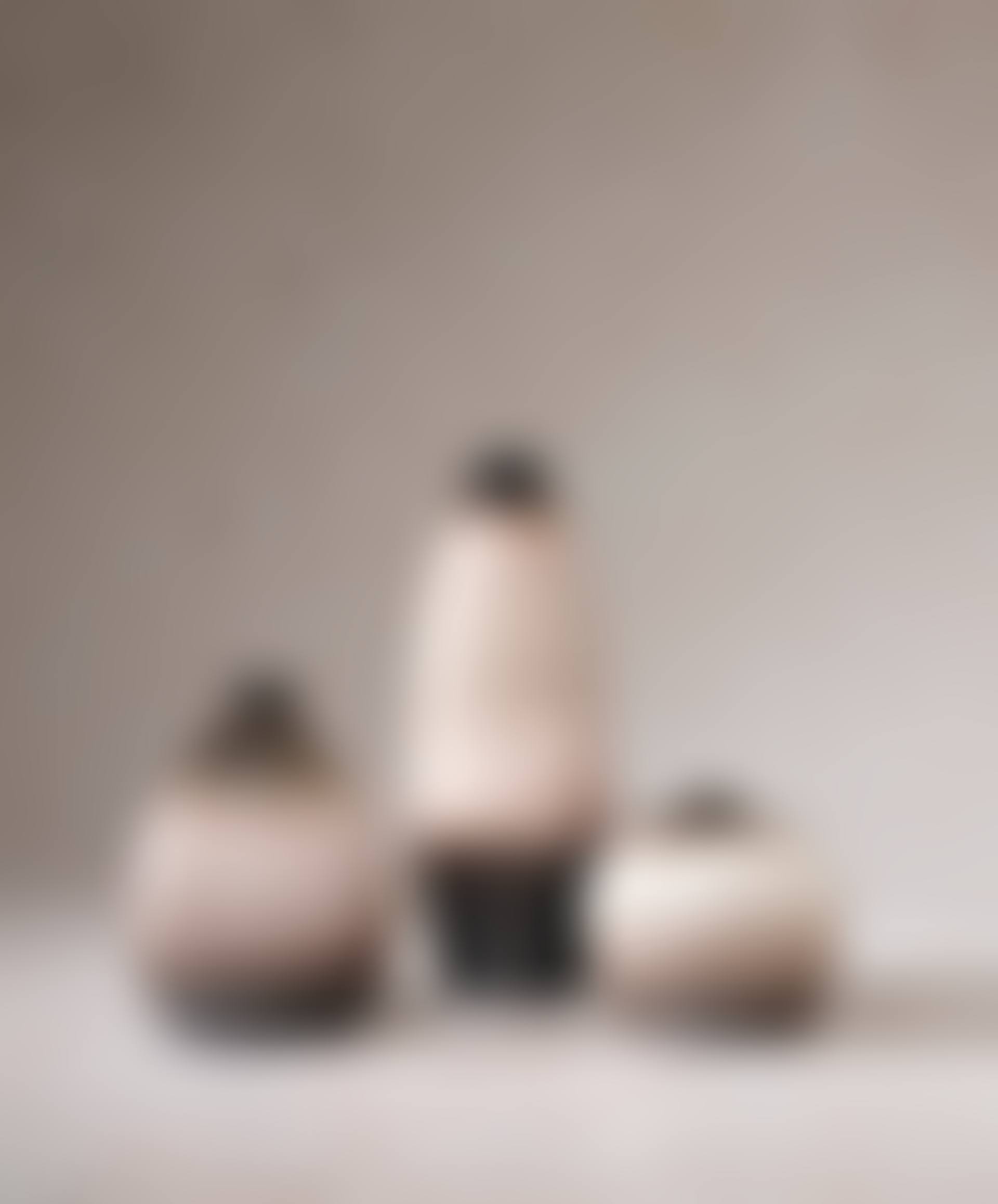 ENSEMBLE DE TROIS VASES (preview)