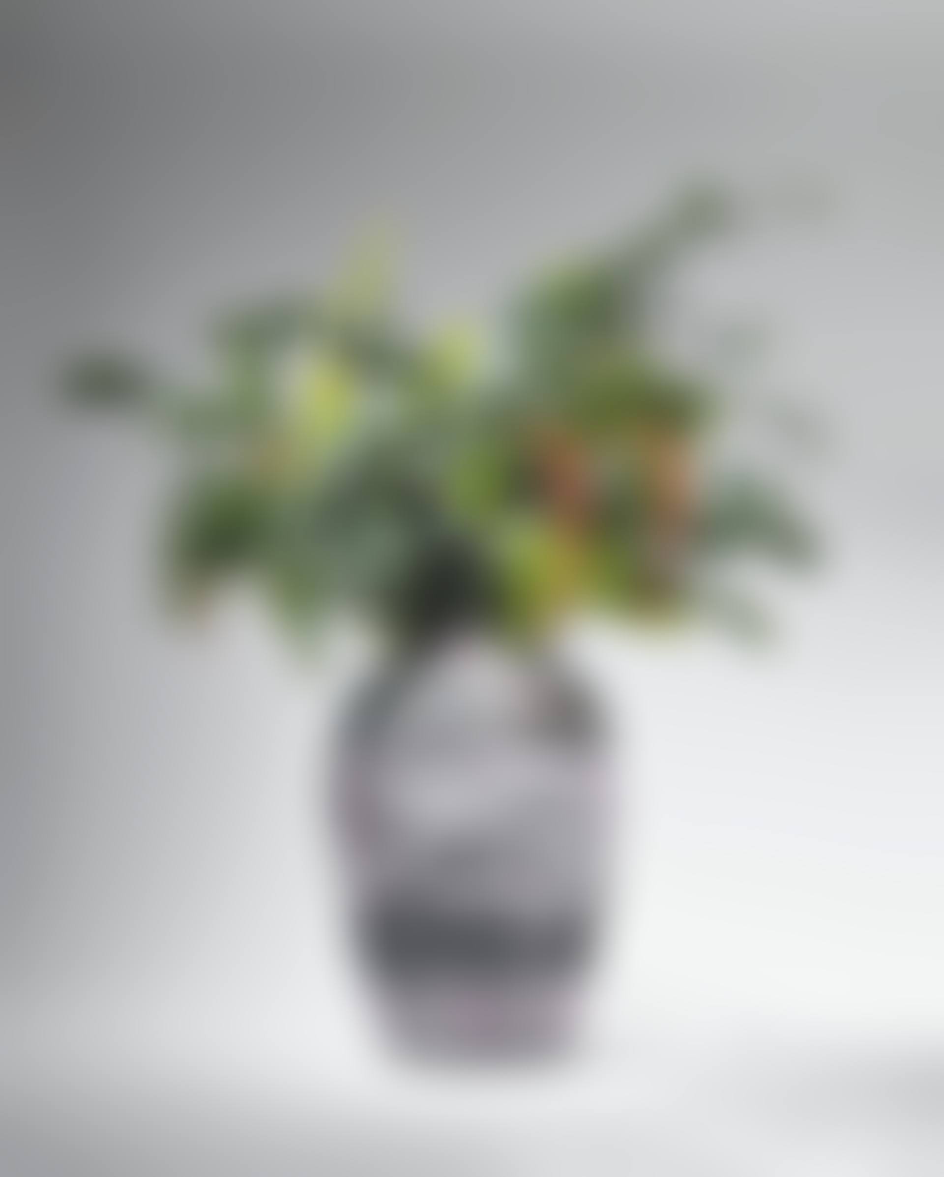 VASE (preview)