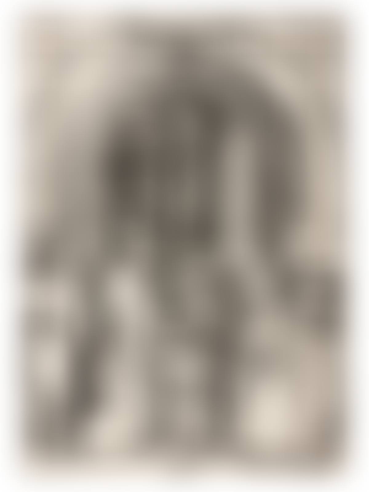 Betrothal of the Virgin (preview)