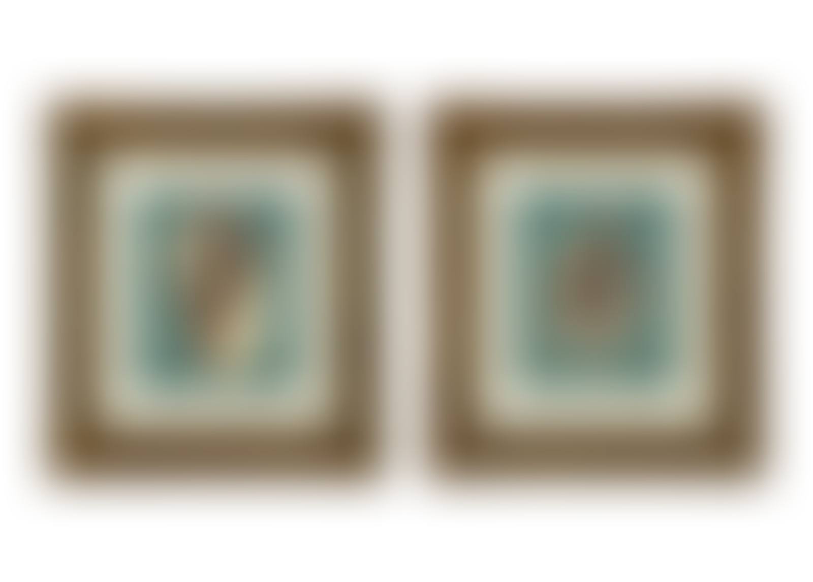 A Pair of Framed Serigraphs of Seashells (preview)