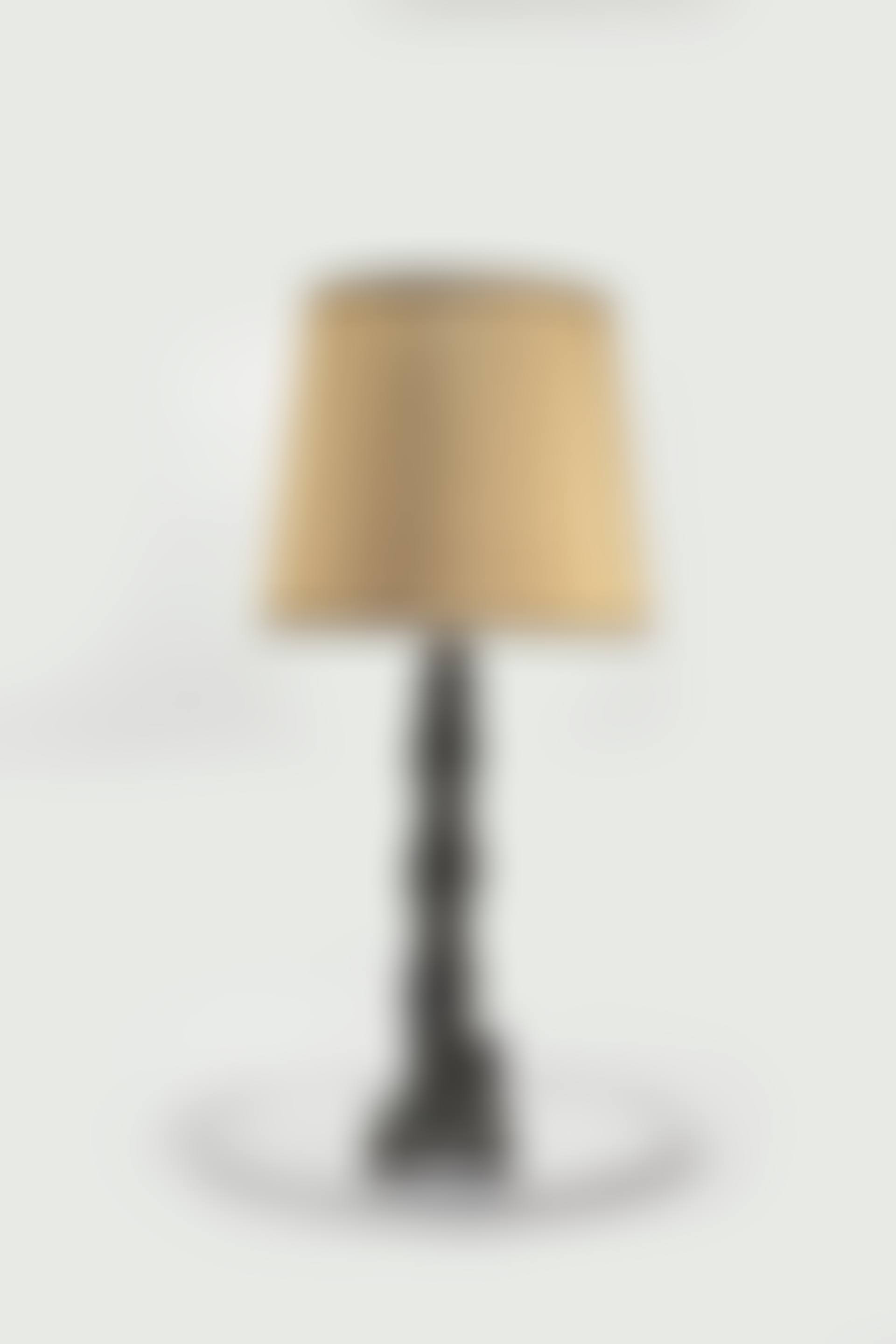 LAMPE ‘COLONNE AUX ANNEAUX ET HIBOU GRAND-DUC’ (preview)