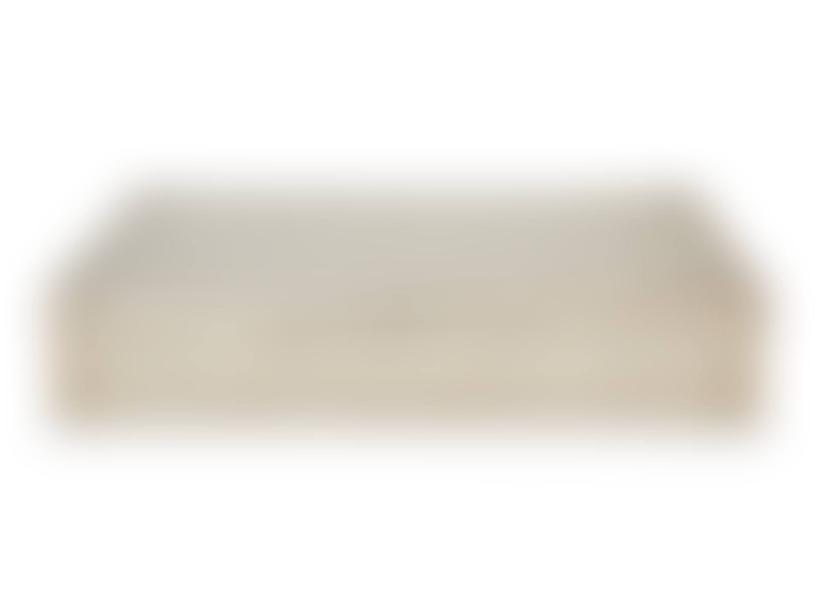 An American Silver Cigar Box (preview)
