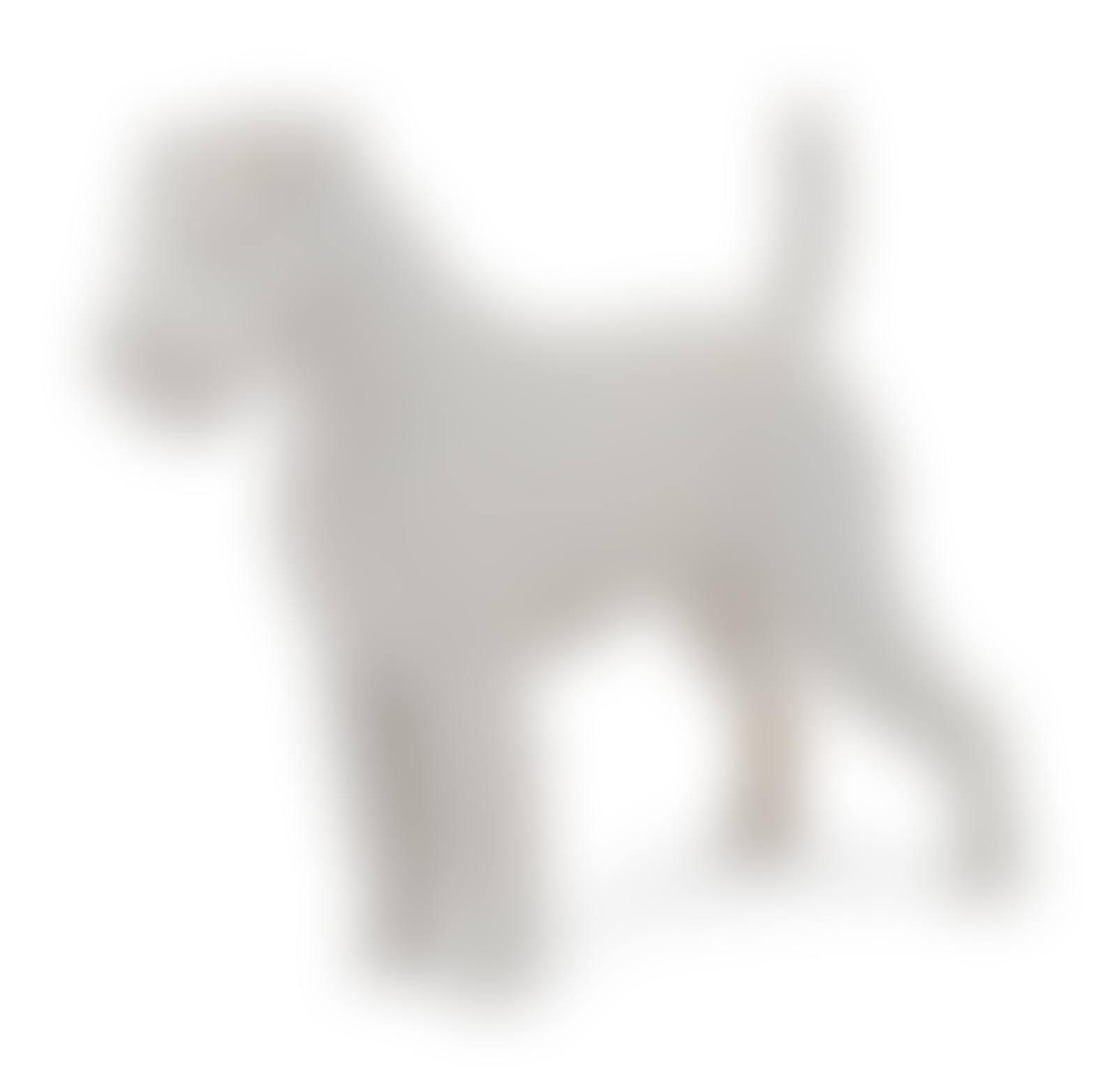 A Meissen Blanc-de-Chine Terrier (preview)